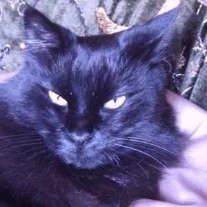 Meet your Posher, Judith